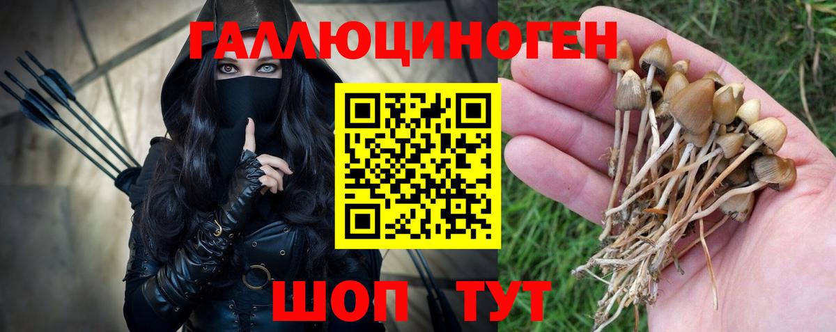 продажа наркотиков  Вход с VPN  Саки  Псилоцибиновые грибы Cubensis 